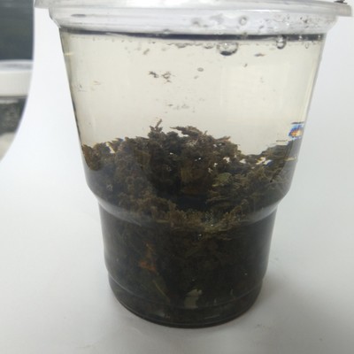 厂家直销污水处理剂食品厂污水橄榄污水处理剂絮凝剂净化剂图3
