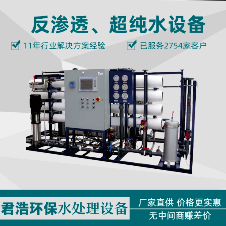 1t/h双级纯化水设备价格 超纯水制取设备