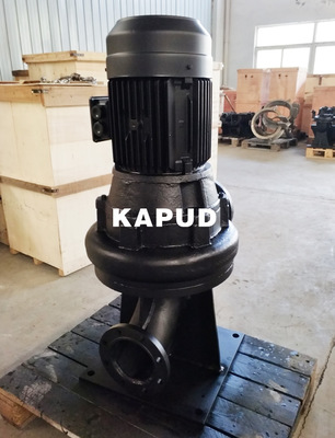 WL立式污水泵 立式排污泵 WL60-20-5.5 立式管道排污泵 凯普德