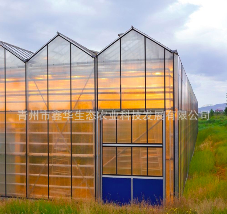 建设阳光板温室 种植蔬菜大棚 自动化温室 玻璃文洛温室