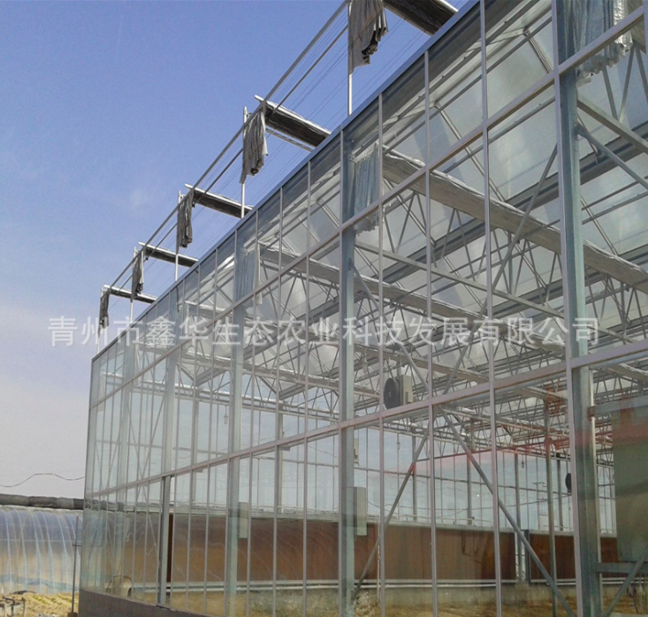 建设阳光板温室 种植蔬菜大棚 自动化温室 玻璃文洛温室图2