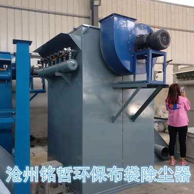 除尘器 布袋除尘器厂家 脉冲布袋除尘器 工业粉尘除尘器环保设备图3
