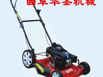户外草坪机 安全可靠草坪机 大面积草坪剪草机图1