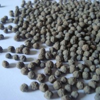 生物陶粒滤料 污水处理生物陶粒滤料 天鸿牌污水处理生物陶粒滤料