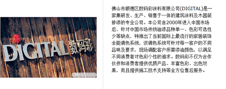 数码彩推广手册（3）-18