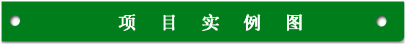 项目示例图
