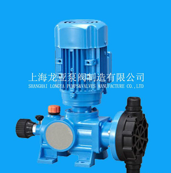 蠕动泵BT100K/泵头DG：可显示液体流量泵-上海龙亚泵阀制造图3