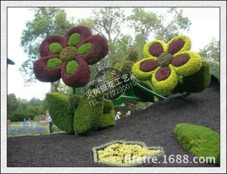 绿雕植物