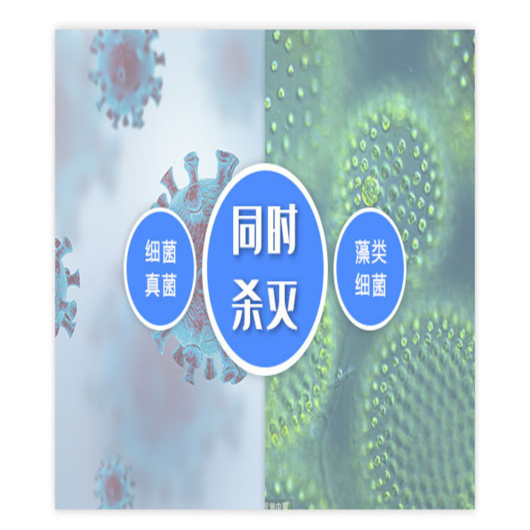 工业水处理杀菌灭藻剂生物粘泥清洗剂 市场走向