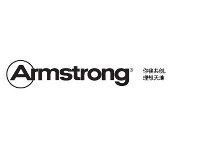 Armstrong 阿姆斯壮矿棉板 雅顿系列i**工程板  矿棉吸音板 A级