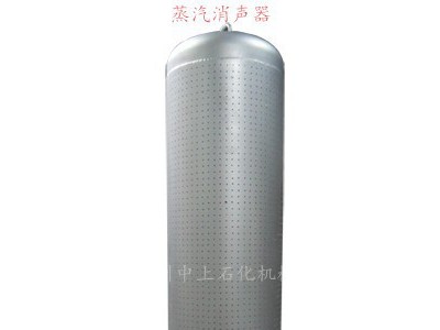 中上石化蒸汽消声器