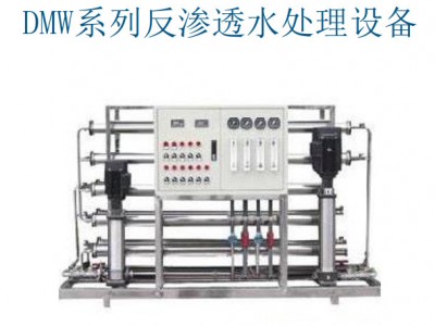 上海登露 水处理设备 反渗透装置 纯水过滤器 高标准水处理图1