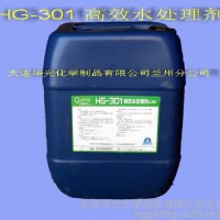 供应华光HG-301高效水处理剂 脱氧 缓蚀 阻垢 杀菌灭藻 水处理剂 工业清洗