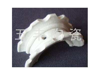 供应陶瓷异鞍环、环保陶瓷、水处理、大量现货图1