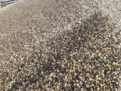 水处理鹅卵石 水过滤用鹅卵石 污水处理用鹅卵石 水过滤材料图1