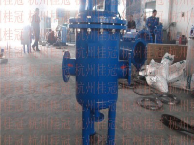 杭州桂冠HG 东阳全自动全程水处理器规格图1