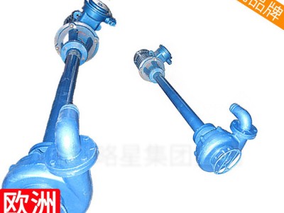 小流量转子污水处理泥浆压滤循环提升泵厂家污泥图1
