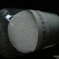 山东鲁泉生产各种离子型聚丙烯酰胺PAM废水处理用絮凝剂净水絮凝剂水处理药剂