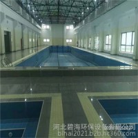 碧海环保BH-SG-800 泳池水处理进口过滤砂缸