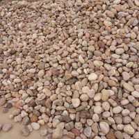 海滨供应 污水处理用鹅卵石天然鹅卵石 污水处理用鹅卵石