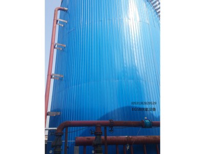 鲁兴EGSB专业 厌氧反应器EGSB 高浓度污水处理设备厂家