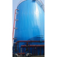 鲁兴EGSB专业 厌氧反应器EGSB 高浓度污水处理设备厂家