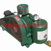 污水处理曝气风机现货供应 小型回转风机现货供应厂家发货