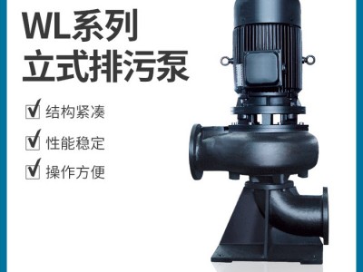上海连成水泵WL型污水处理泵 立式排污泵图1