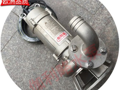 八寸潜水泵 污水处理加药泵 不锈钢水泵 鄂图1