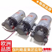 dp水处理高压水泵 dp自吸清洗泵 dp清洗真空泵 伽壹