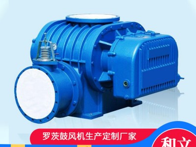 和立HLSR 小型罗茨鼓风机 水产养殖污水处理曝气增氧风机 罗茨风机图1