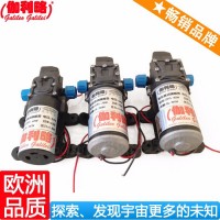 微型高压柱塞水泵 净水机水泵 水处理高压水泵 唐