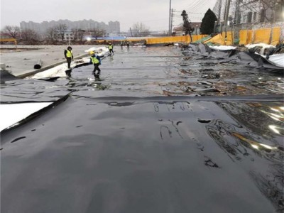 藕池土工膜 污水处理防渗膜 防渗土工膜