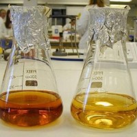 隆川食品级 白腐真菌漆酶 木质素分解酶 污水处理专用酶