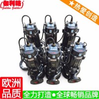 上海污水处理用加药泵 上海重庆污水泵 伽贰