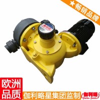加药计量泵厂 隔膜式计量泵 水处理计量泵 周