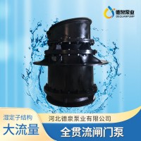 德泉泵业潜水闸门泵_一体化泵站/泵闸_环保水处理设备