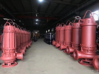 卓全100JYWQ100-22-11KW 管道污水泵 地下车库污水处理图1
