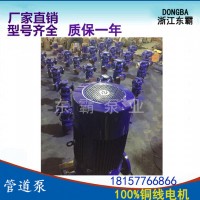 **ISG65-125管道离心泵 离心泵 管道泵 化工管道泵 大口径管道离心泵 防爆离心泵