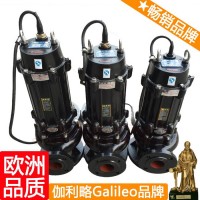 304潜污泵 排水泵类型 潜水管道泵 琼
