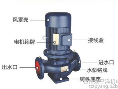 ISW管道泵铸铁卧式离心泵 ISW40-250耐高温锅炉泵厂家现货图1
