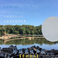 晶闪石20 珍珠岩吸声板 吸音降噪防火消防泵房生活水箱间风机房
