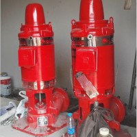 上海北洋泵业集团XBD7.0/45G-SJ长轴立式消防泵 长轴轴流消防泵 长轴深井消防泵 CCCF认证