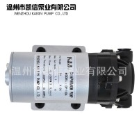厂家自销DP-100A微型自动隔膜泵 电动隔膜泵微型隔膜泵
