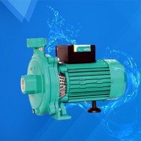 威乐自动增压泵 PW-175EAH增压泵 加压泵 气动隔膜泵  隔膜泵