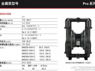 Ingersoll Rand/英格索兰 气动gemgemb隔膜泵 气动隔膜泵
