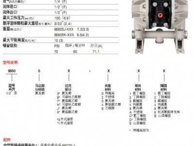 Ingersoll Rand/英格索兰 隔膜泵66605J-3EB水性