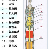 耐隆电潜隔膜泵NL Pumps