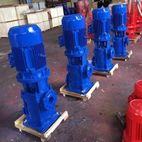 诺西德25LG3-10*10*11 多级给水泵边立式电动给水泵