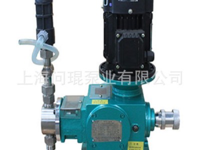 Ailipu爱力浦J-X系列SS304 SS316材质柱塞计量泵图1